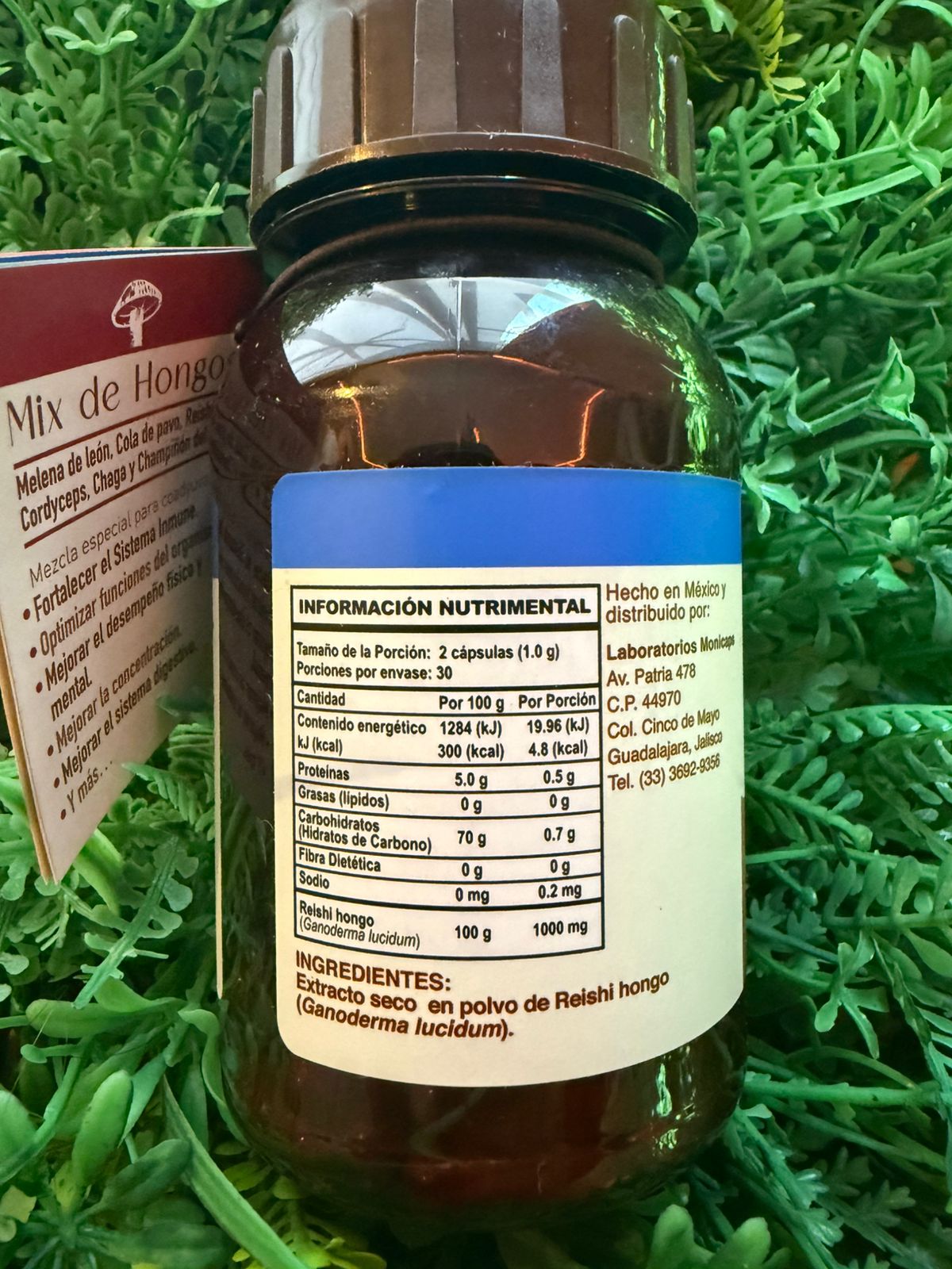 Capsulas Reishy-Ganoderma Natural Yasmin 500mg