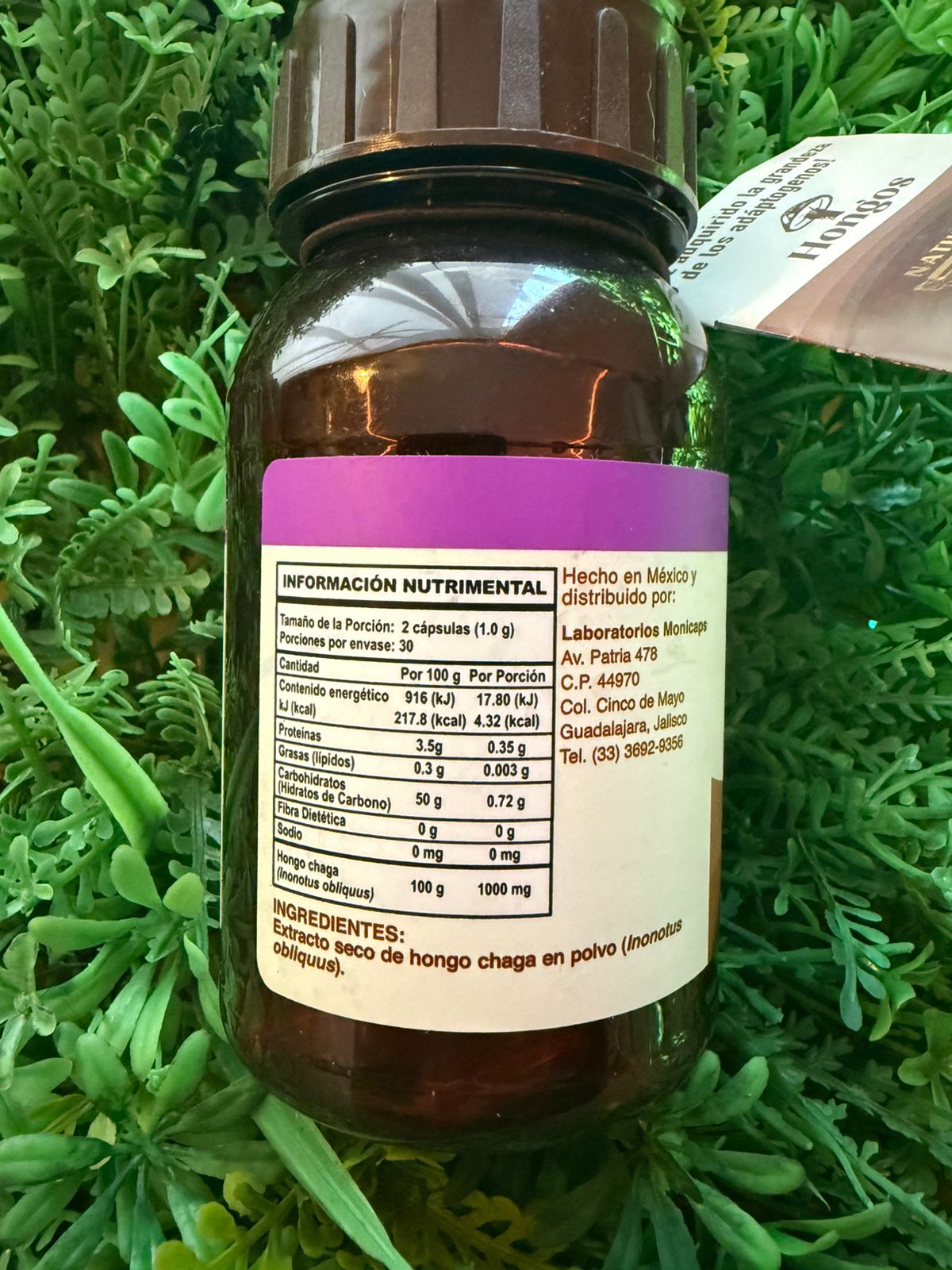 Capsulas Chaga Natural Yazmin 500mg