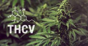 THCV Tetrahidrocannabivarina el canabinoide de la dieta!!!