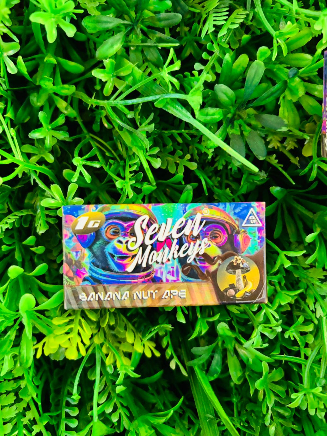 Chocolate Psilocibina 7 Monkeys 1gr