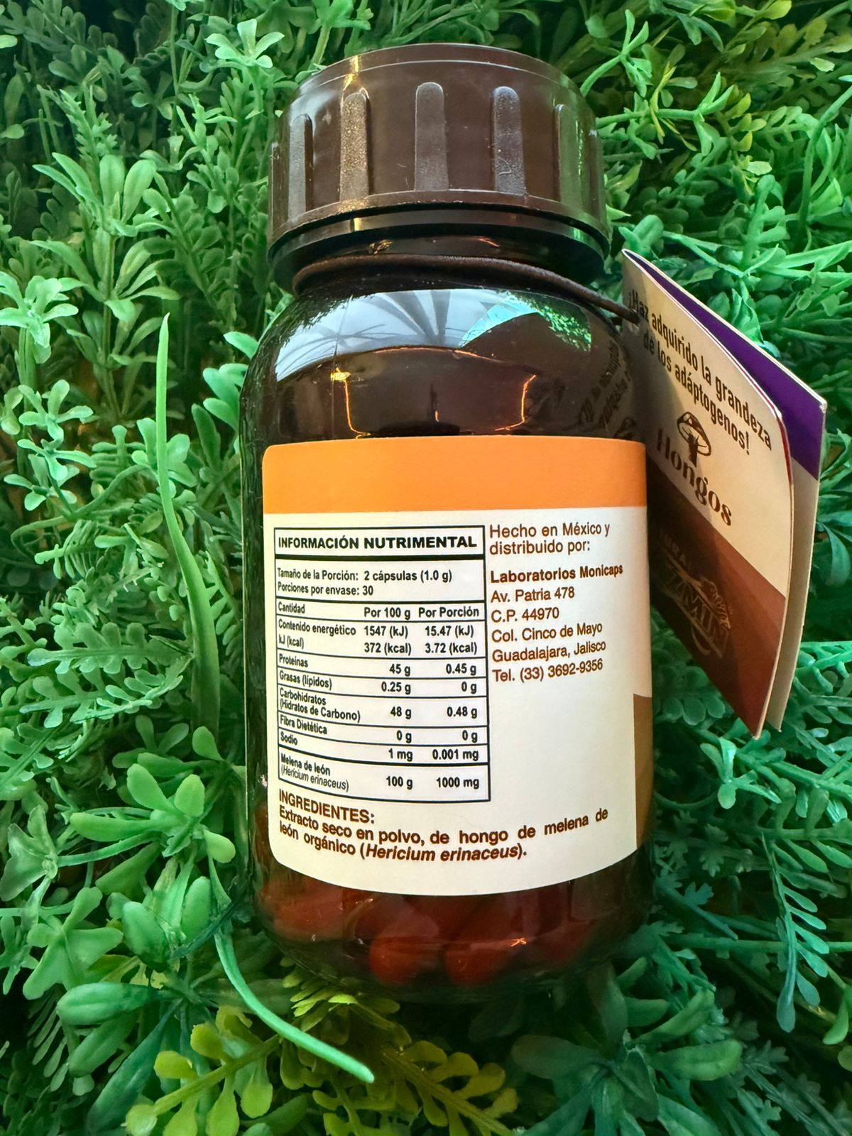 Capsulas Melena de Leon Natural Yazmin 500mg