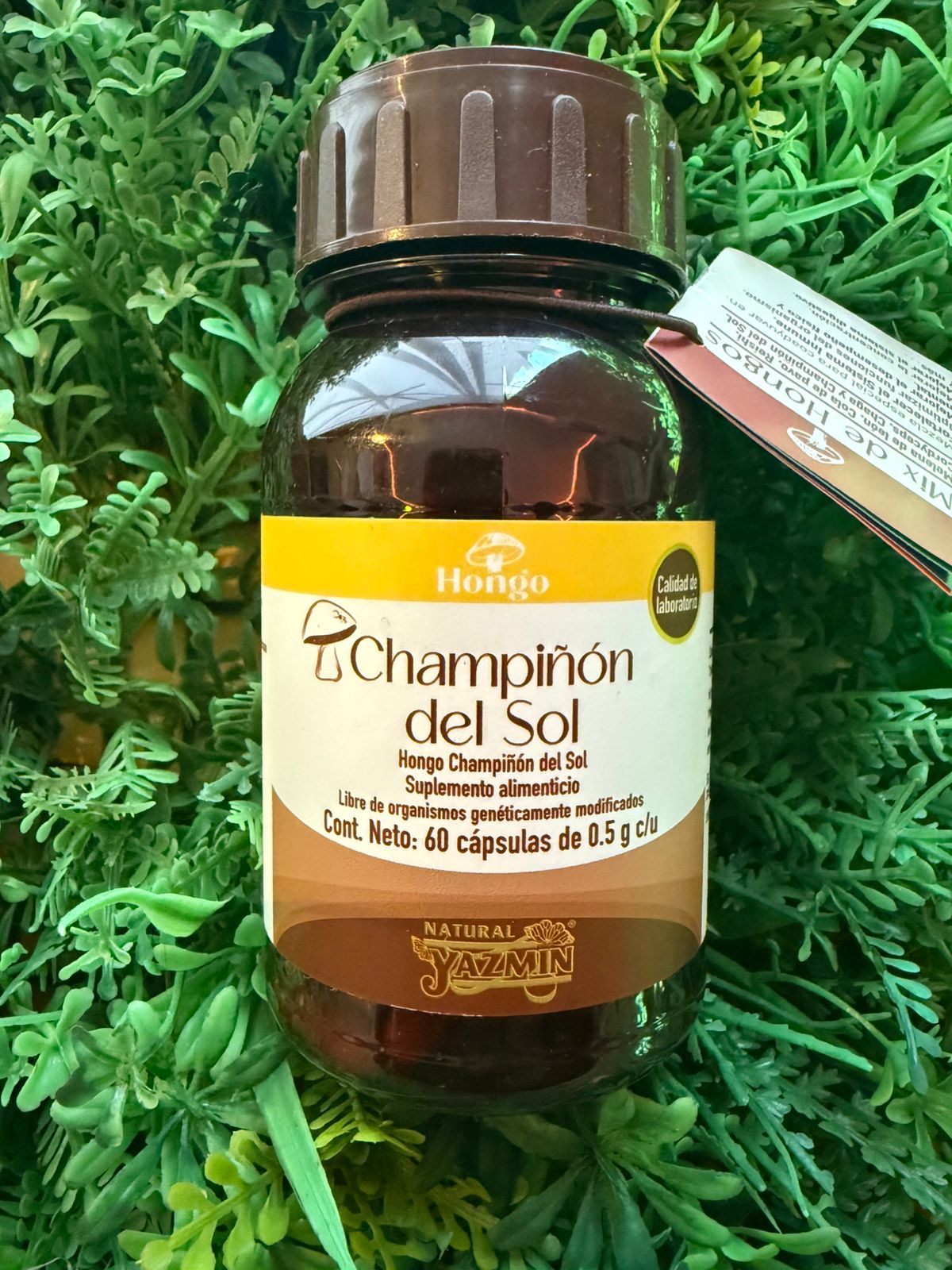 Capsulas Champiñon del Sol Natural Yazmin 500mg